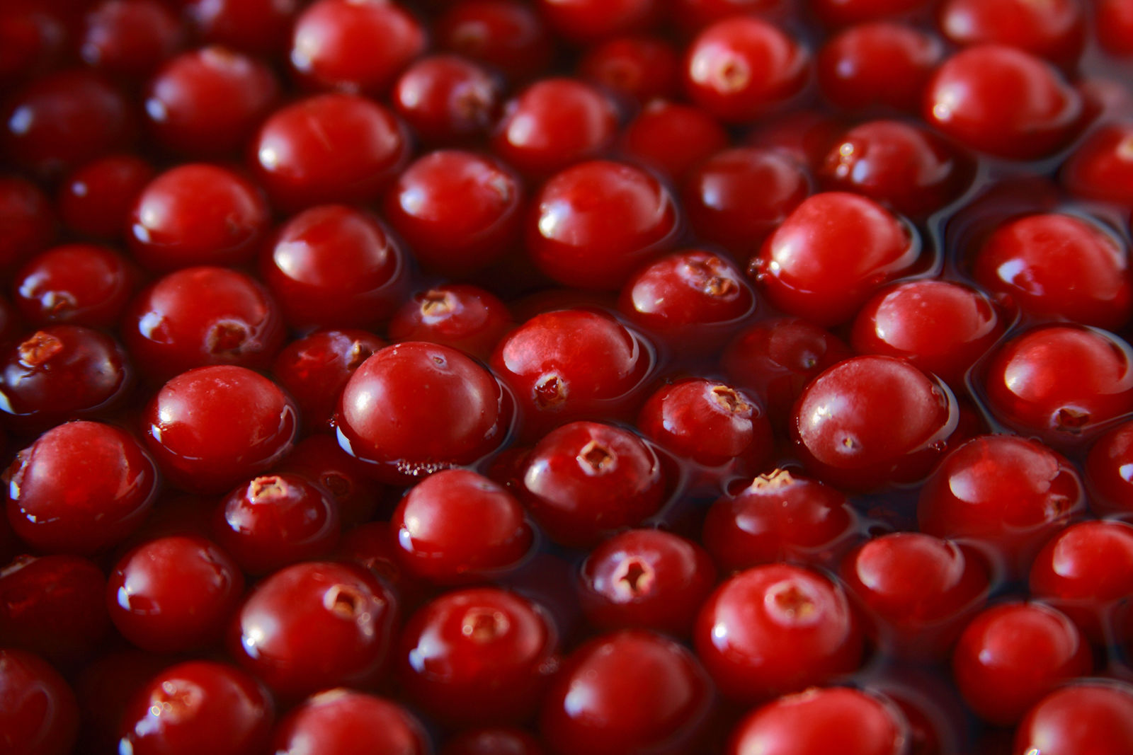 Cranberry craze